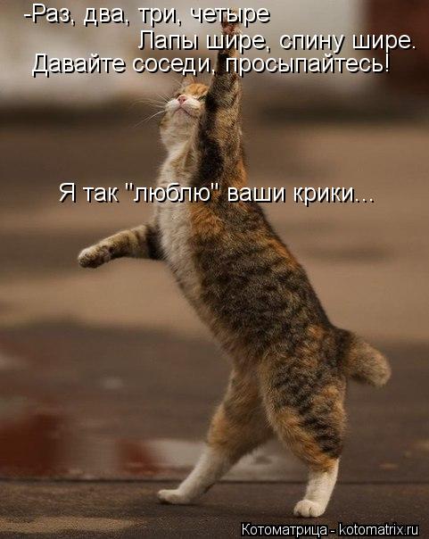 -Раз, два, три, четыре Лапы шире, спину шире. Давайте соседи, просыпайтесь! Я так "люблю" ваши крики.... Котоматрица: -Раз, два, три, четыре Лапы шире, спину шире. Давайте соседи, просыпайтесь! Я так "люблю" ваши крики...