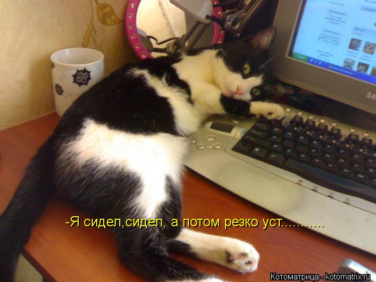 Котоматрица: -Я сидел,сидел, а потом резко уст...........