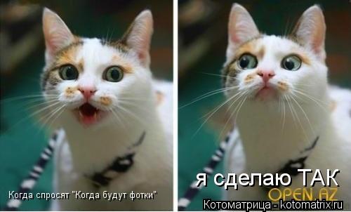 Когда спросят "Когда будут фотки" я сделаю ТАК... Котоматрица: Когда спросят "Когда будут фотки" я сделаю ТАК