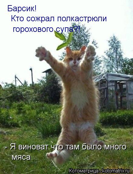 Барсик! Кто сожрал полкастрюли горохового супа?! - Я виноват что там было много мяса... Котоматрица: Барсик! Кто сожрал полкастрюли горохового супа?! - Я виноват что там было много мяса