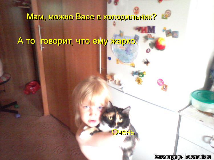 Мам, можно Васе в холодильник? А то говорит, что ему жарко. Очень... Котоматрица: Мам, можно Васе в холодильник? А то говорит, что ему жарко. Очень