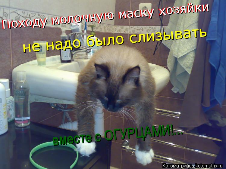 Походу молочную маску хозяйки Походу молочную маску хозяйки не надо было слизывать вместе с ОГУРЦАМИ!... Котоматрица: Походу молочную маску хозяйки Походу молочную маску хозяйки не надо было слизывать вместе с ОГУРЦАМИ!... вместе с ОГУРЦАМИ!...