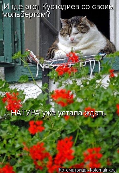 И где этот Кустодиев со своим мольбертом? НАТУРА уже устала ждать... Котоматрица: И где этот Кустодиев со своим мольбертом? НАТУРА уже устала ждать