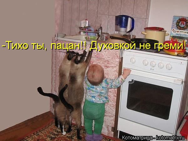Котоматрица: -Тихо ты, пацан!! Духовкой не греми!