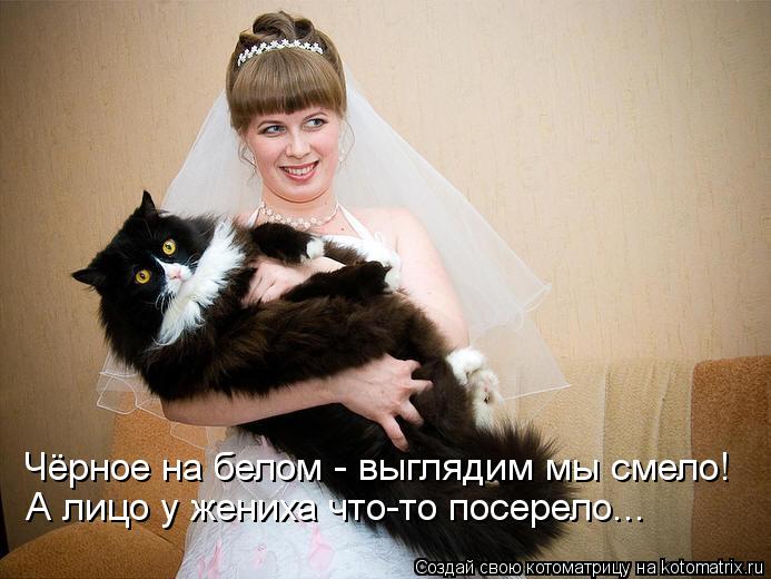 Чёрное на белом - выглядим мы смело! А лицо у жениха что-то посерело...... Котоматрица: Чёрное на белом - выглядим мы смело! А лицо у жениха что-то посерело...