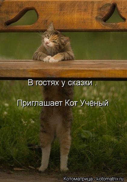 В гостях у сказки . Приглашает Кот Учёный... Котоматрица: В гостях у сказки . Приглашает Кот Учёный