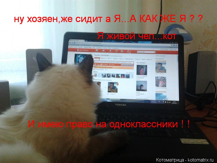 ну хозяен,же сидит а Я...А КАК ЖЕ Я ? ? ну хозяен,же сидит а Я...А КАК ЖЕ Я ? ? Я живой чел...кот И и... Котоматрица: ну хозяен,же сидит а Я...А КАК ЖЕ Я ? ? ну хозяен,же сидит а Я...А КАК ЖЕ Я ? ? Я живой чел...кот И имею право на одноклассники ! !