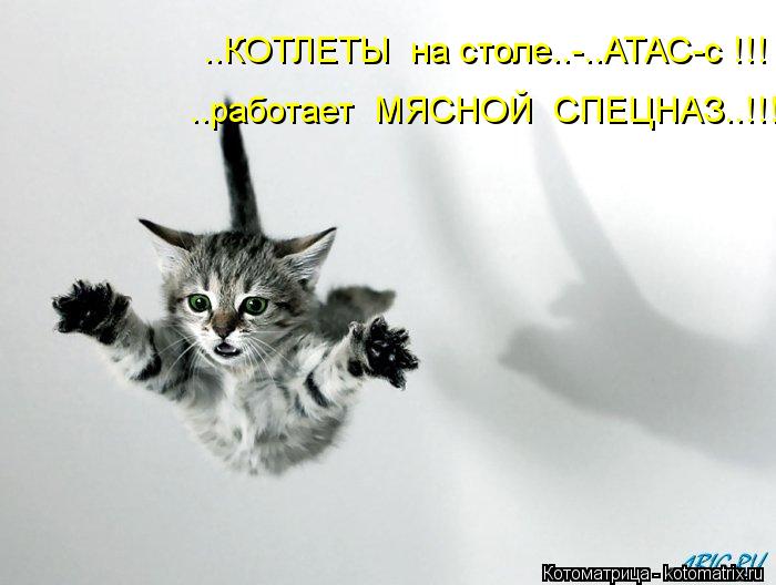 ..КОТЛЕТЫ на столе..-..АТАС-с !!! ..работает МЯСНОЙ СПЕЦНАЗ..!!!... Котоматрица: ..КОТЛЕТЫ на столе..-..АТАС-с !!! ..работает МЯСНОЙ СПЕЦНАЗ..!!!