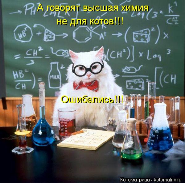 А говорят высшая химия не для котов!!! Ошибались!!!... Котоматрица: А говорят высшая химия не для котов!!! Ошибались!!!