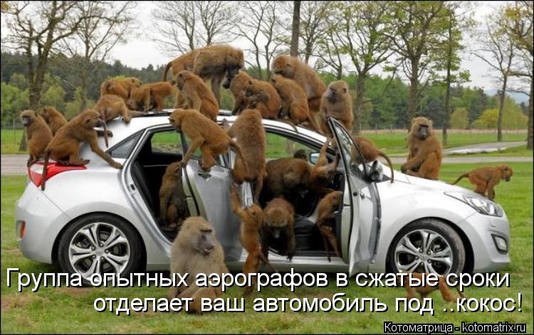 Группа опытных аэрографов в сжатые сроки отделает ваш автомобиль под ..кокос!... Котоматрица: Группа опытных аэрографов в сжатые сроки отделает ваш автомобиль под ..кокос!
