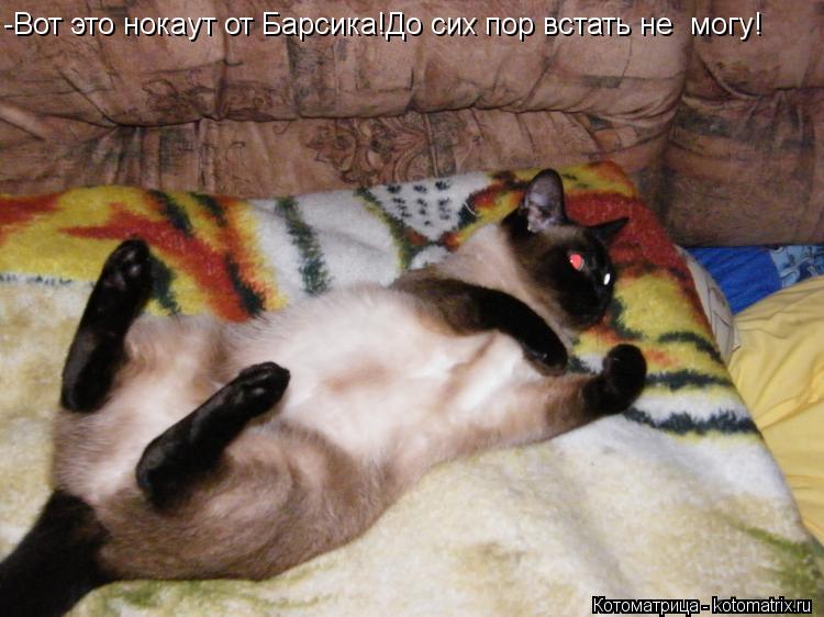-Вот это нокаут от Барсика!До сих пор встать не могу!... Котоматрица: -Вот это нокаут от Барсика!До сих пор встать не могу!