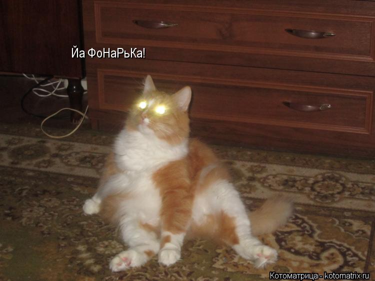 Йа ФоНаРьКа!... Котоматрица: Йа ФоНаРьКа!