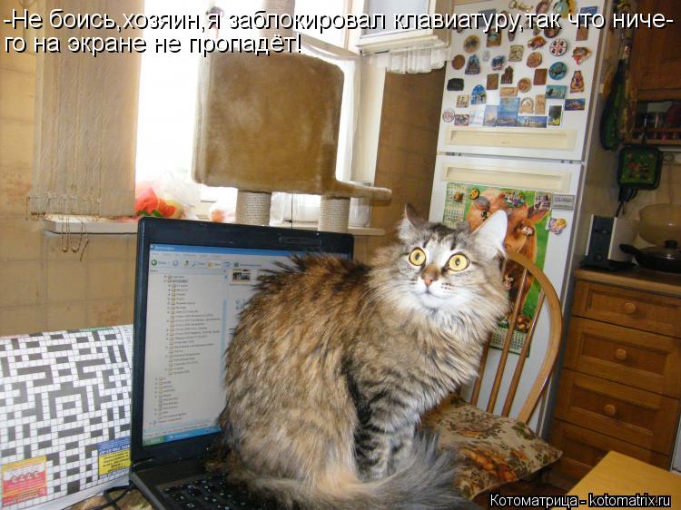 -Не боись,хозяин,я заблокировал клавиатуру,так что ниче- го на экране не пропадёт!... Котоматрица: -Не боись,хозяин,я заблокировал клавиатуру,так что ниче- го на экране не пропадёт!