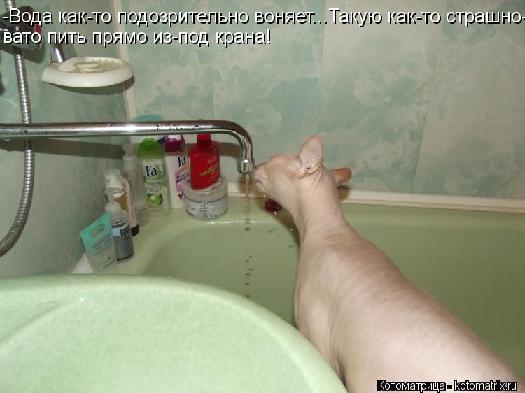 -Вода как-то подозрительно воняет...Такую как-то страшно- вато пить прямо из-под крана!... Котоматрица: -Вода как-то подозрительно воняет...Такую как-то страшно- вато пить прямо из-под крана!