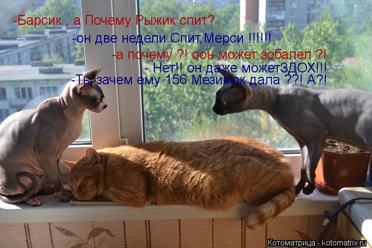 -Барсик , а Почему Рыжик спит? -он две недели Спит,Мерси !!!!!! -а почему ?! оон может зобалел ?! - Н... Котоматрица: -Барсик , а Почему Рыжик спит? -он две недели Спит,Мерси !!!!!! -а почему ?! оон может зобалел ?! - Нет!! он даже можетЗДОХ!!! -Ты зачем ему 156 Мезимок д