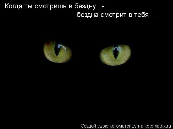 Когда ты смотришь в бездну - бездна смотрит в тебя!...... Котоматрица: Когда ты смотришь в бездну - бездна смотрит в тебя!...