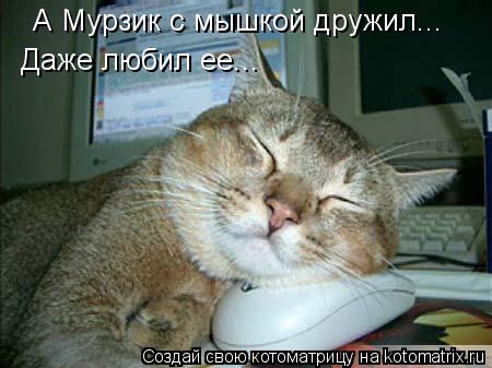 А Мурзик с мышкой дружил... Даже любил ее...... Котоматрица: А Мурзик с мышкой дружил... Даже любил ее...