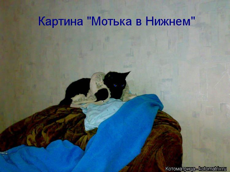 Картина "Мотька в Нижнем"... Котоматрица: Картина "Мотька в Нижнем"