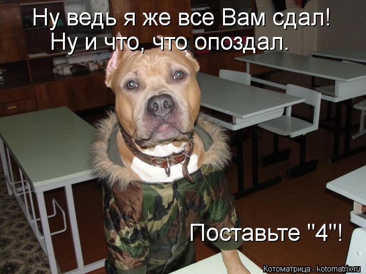Ну ведь я же все Вам сдал! Ну и что, что опоздал. Поставьте "4"!... Котоматрица: Ну ведь я же все Вам сдал! Ну и что, что опоздал. Поставьте "4"!