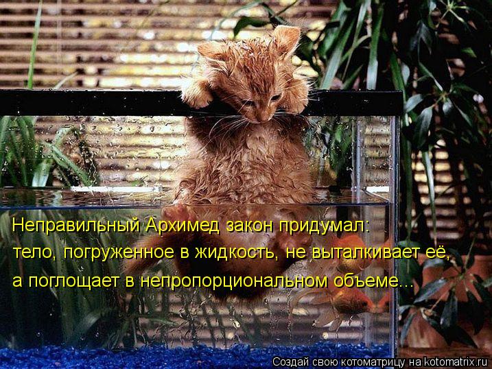 Неправильный Архимед закон придумал: тело, погруженное в жидкость, не выталкивает её, а поглощает в н... Котоматрица: Неправильный Архимед закон придумал: тело, погруженное в жидкость, не выталкивает её, а поглощает в непропорциональном объеме...