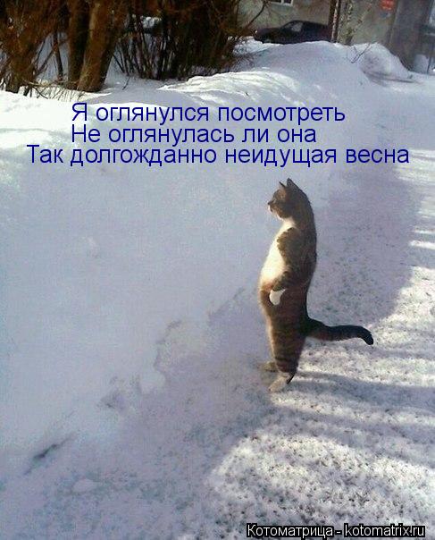 Я оглянулся посмотреть Не оглянулась ли она Так долгожданно неидущая весна... Котоматрица: Я оглянулся посмотреть Не оглянулась ли она Так долгожданно неидущая весна