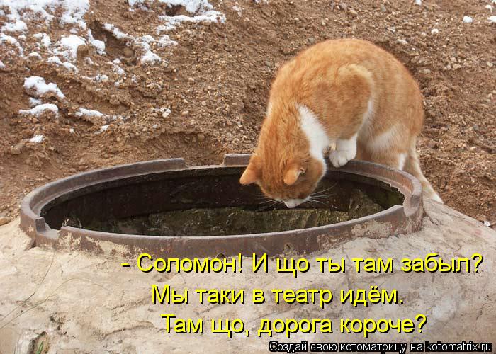 - Соломон! И що ты там забыл? Мы таки в театр идём. Там що, дорога короче? Там що, дорога короче?... Котоматрица: - Соломон! И що ты там забыл? Мы таки в театр идём. Там що, дорога короче? Там що, дорога короче?