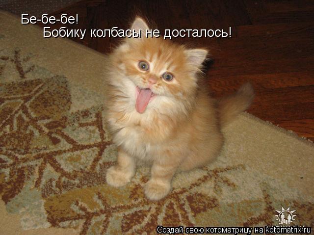 Бе-бе-бе! Бобику колбасы не досталось!... Котоматрица: Бе-бе-бе! Бобику колбасы не досталось!