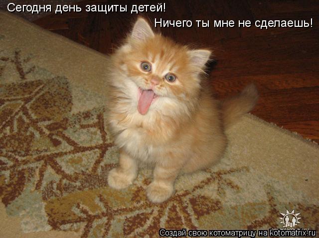 Сегодня день защиты детей! Ничего ты мне не сделаешь!... Котоматрица: Сегодня день защиты детей! Ничего ты мне не сделаешь!
