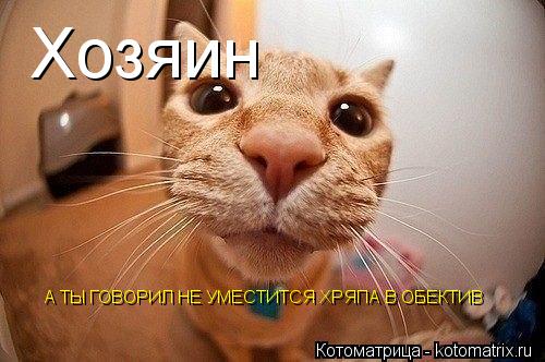 Хозяин А ТЫ ГОВОРИЛ НЕ УМЕСТИТСЯ ХРЯПА В ОБЕКТИВ... Котоматрица: Хозяин А ТЫ ГОВОРИЛ НЕ УМЕСТИТСЯ ХРЯПА В ОБЕКТИВ