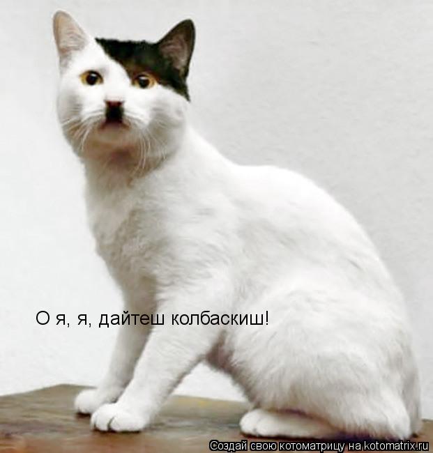 О я, я, дайтеш колбаскиш!... Котоматрица: О я, я, дайтеш колбаскиш!