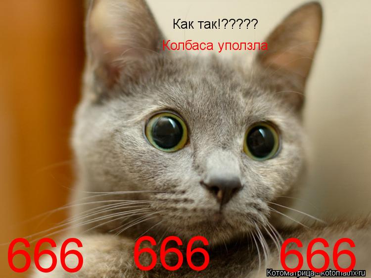 Как так!????? Колбаса уползла 666 666 666... Котоматрица: Как так!????? Колбаса уползла 666 666 666