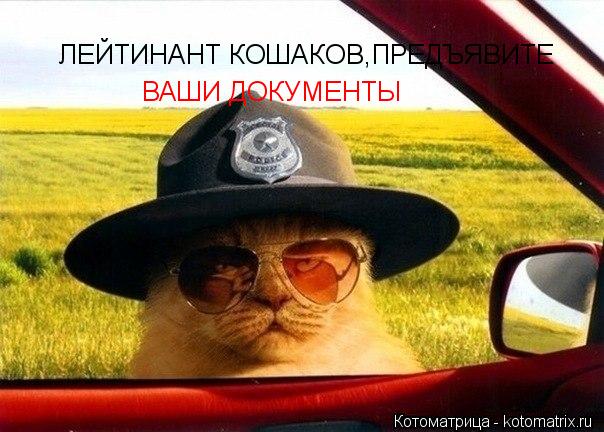 ВАШИ ДОКУМЕНТЫ ЛЕЙТИНАНТ КОШАКОВ,ПРЕДЪЯВИТЕ... Котоматрица: ВАШИ ДОКУМЕНТЫ ЛЕЙТИНАНТ КОШАКОВ,ПРЕДЪЯВИТЕ