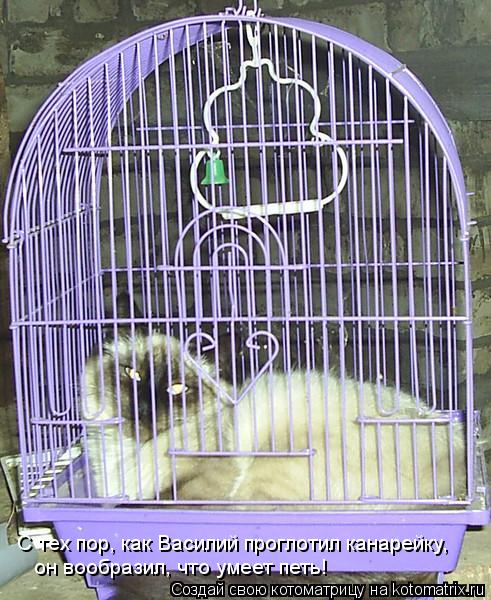 он вообразил, что умеет петь! С тех пор, как Василий проглотил канарейку,... Котоматрица: он вообразил, что умеет петь! С тех пор, как Василий проглотил канарейку,
