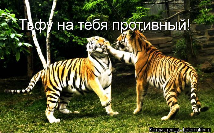 Тьфу на тебя противный!... Котоматрица: Тьфу на тебя противный!