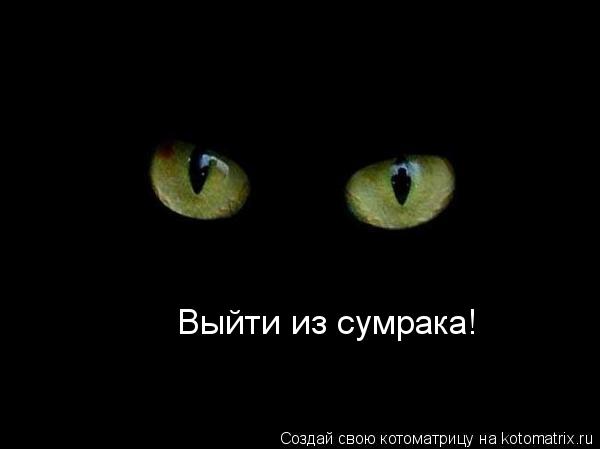 Выйти из сумрака!... Котоматрица: Выйти из сумрака!