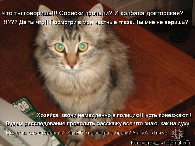 Что ты говоришь!!! Сосиски пропали? И колбаса докторская? Я??? Да ты что!! Посмотри в мои честные гла... Котоматрица: Что ты говоришь!!! Сосиски пропали? И колбаса докторская? Я??? Да ты что!! Посмотри в мои честные глаза. Ты мне не веришь? Хозяйка, звони немедле