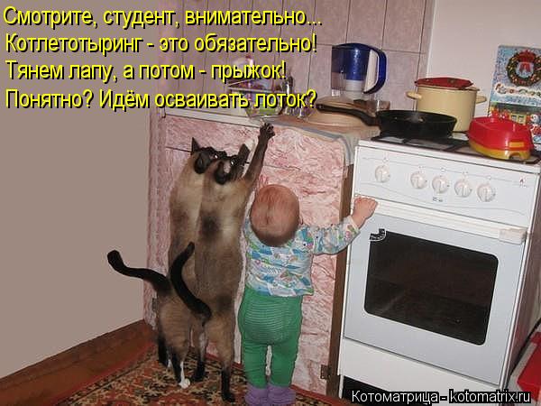 Смотрите, студент, внимательно... Котлетотыринг - это обязательно! Тянем лапу, а потом - прыжок! Поня... Котоматрица: Смотрите, студент, внимательно... Котлетотыринг - это обязательно! Тянем лапу, а потом - прыжок! Понятно? Идём осваивать лоток?