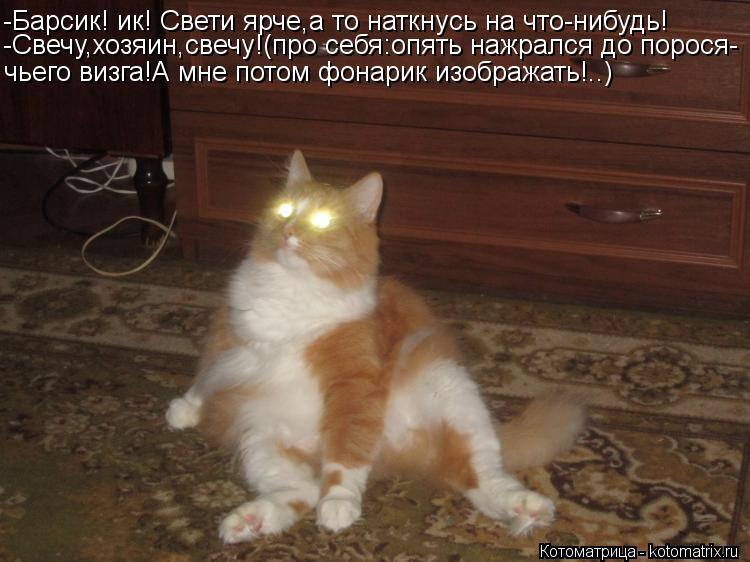 -Барсик! ик! Свети ярче,а то наткнусь на что-нибудь! чьего визга!А мне потом фонарик изображать!..) -... Котоматрица: -Барсик! ик! Свети ярче,а то наткнусь на что-нибудь! чьего визга!А мне потом фонарик изображать!..) -Свечу,хозяин,свечу!(про себя:опять нажрался
