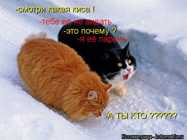 -смотри какая киса ! -тебе её не видать -это почему ? -я её парень ... -А ТЫ КТО ??????... Котоматрица: -смотри какая киса ! -тебе её не видать -это почему ? -я её парень ... -А ТЫ КТО ??????