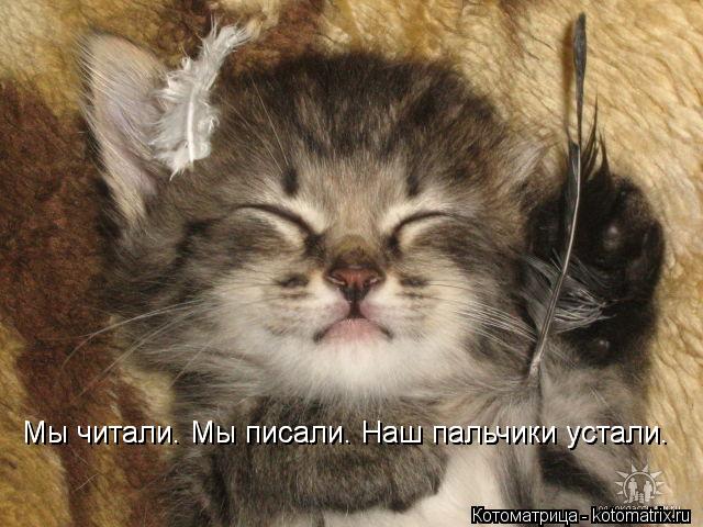 Мы читали. Мы писали. Наш пальчики устали. Мы читали. Мы писали. Наш пальчики устали.... Котоматрица: Мы читали. Мы писали. Наш пальчики устали. Мы читали. Мы писали. Наш пальчики устали.