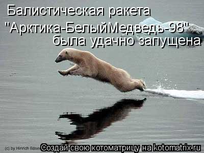 Балистическая ракета "Арктика-БелыйМедведь-98" была удачно запущена... Котоматрица: Балистическая ракета "Арктика-БелыйМедведь-98" была удачно запущена