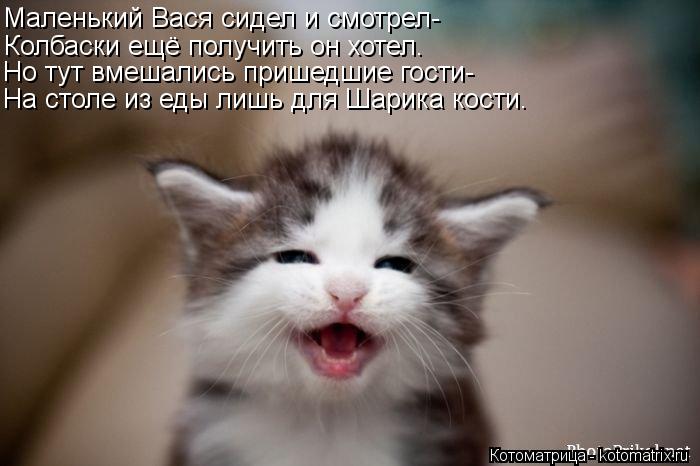 Маленький Вася сидел и смотрел- Колбаски ещё получить он хотел. Но тут вмешались пришедшие гости- На ... Котоматрица: Маленький Вася сидел и смотрел- Колбаски ещё получить он хотел. Но тут вмешались пришедшие гости- На столе из еды лишь для Шарика кости.