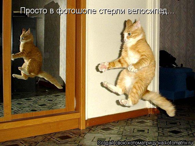 Просто в фотошопе стерли велосипед...... Котоматрица: Просто в фотошопе стерли велосипед...