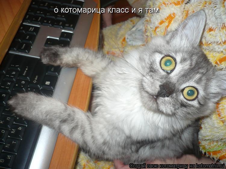 о котомарица класс и я там... Котоматрица: о котомарица класс и я там