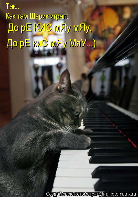 Так... Как там Шарик играл: До рЕ КИС мЯу мЯу, До рЕ киС мЯу МяУ...)... Котоматрица: Так... Как там Шарик играл: До рЕ КИС мЯу мЯу, До рЕ киС мЯу МяУ...)