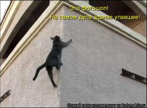 Это фотошоп! На самом деле здание упавшее!... Котоматрица: Это фотошоп! На самом деле здание упавшее!