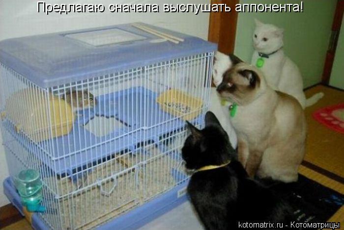 Предлагаю сначала выслушать аппонента!... Котоматрица: Предлагаю сначала выслушать аппонента!