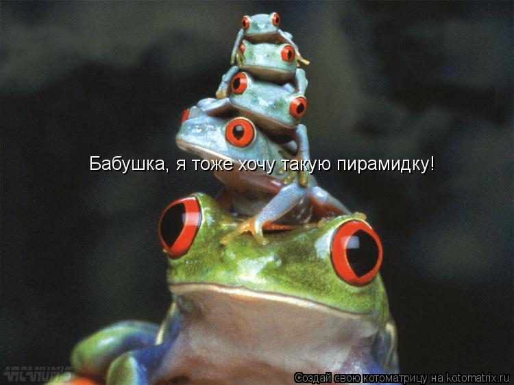 Бабушка, я тоже хочу такую пирамидку Бабушка, я тоже хочу такую пирамидку!... Котоматрица: Бабушка, я тоже хочу такую пирамидку Бабушка, я тоже хочу такую пирамидку!