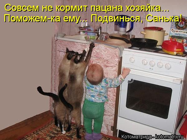 Совсем не кормит пацана хозяйка... Поможем-ка ему... Подвинься, Санька!... Котоматрица: Совсем не кормит пацана хозяйка... Поможем-ка ему... Подвинься, Санька!