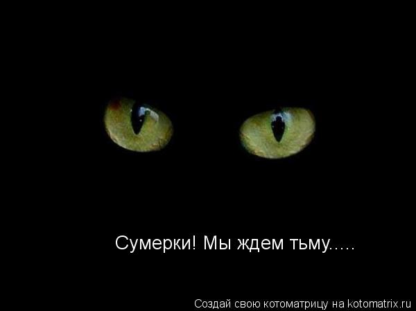 Сумерки! Мы ждем тьму........ Котоматрица: Сумерки! Мы ждем тьму.....